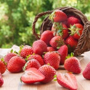 Fresh, Local, Strawberries Hamilton