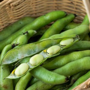 Fresh, Local, Fava Beans Binbrook