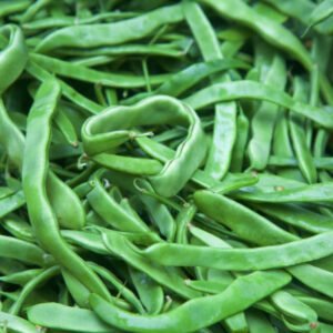 Fresh, Local, Romano Beans Stoney Creek
