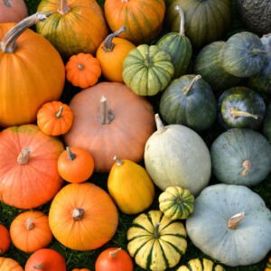 Fresh, Local Pumpkins and Squash Murphys Hamilton Binbrook Stoney Creek