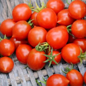Fresh, Local Tomatoes Murphys Hamilton Binbrook Stoney Creek